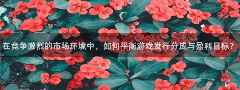 ag街机子怎么样：在竞争激烈的市场环境中，如何平衡游戏发行分成与盈利目标？