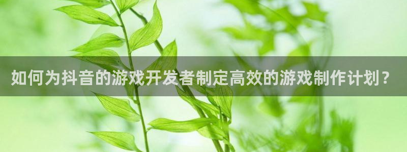 ag街机官网注册地址在哪里啊：如何为抖音的游戏开发者制定高效的游戏制作计划？