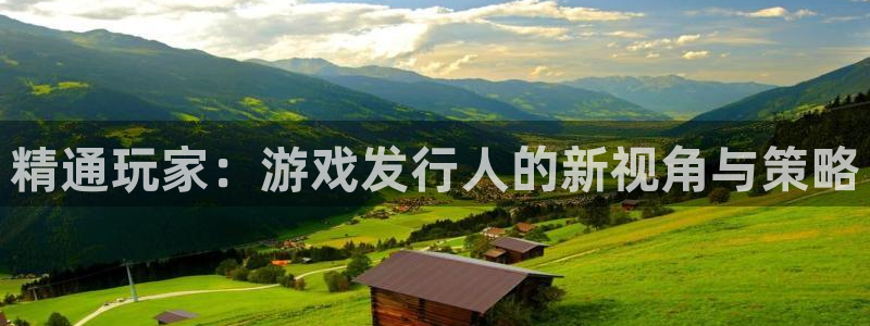 ag街机官网挂机项目怎么样：精通玩家：游戏发行人的新视角与策略
