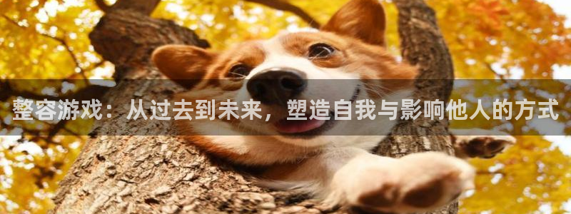ag街机集团董事长刘一辰简历：整容游戏：从过去到未来，塑造自我与影响他人的方式