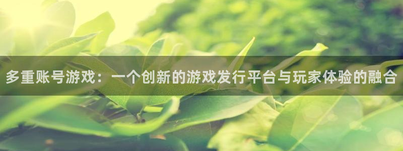 江苏ag街机：多重账号游戏：一个创新的游戏发行平台与玩家体验的融合
