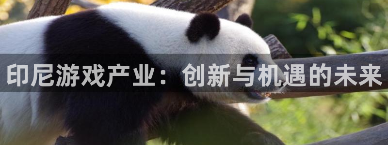 ag街机官网注册方法：印尼游戏产业：创新与机遇的未来