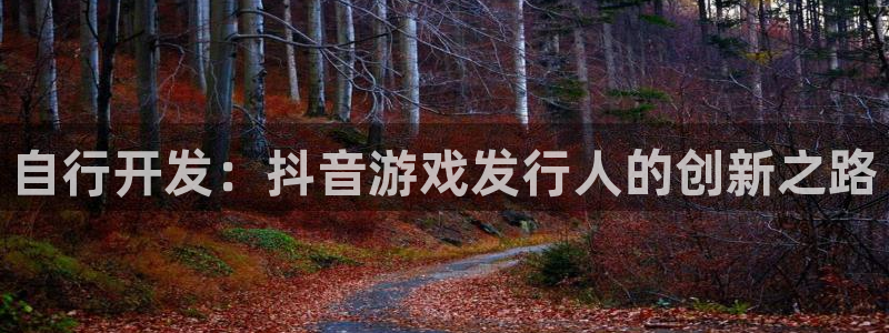 ag街机官网登录注册账号安全吗安全吗：自行开发：抖音游戏发行人的创新之路